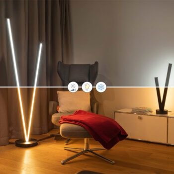 20210238 cimote idee.jpg