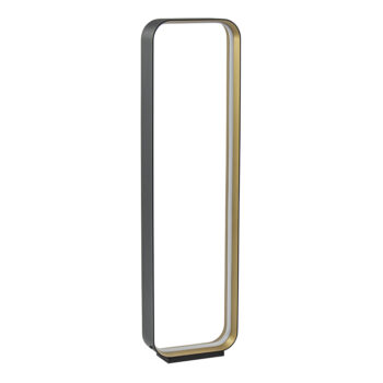 20210264 Moderne LED vloerlamp zwart goud dim to warm.jpg