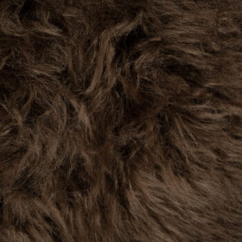 02910378 detail 1.jpg