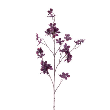 12212070 yinghua bloem roze.jpg