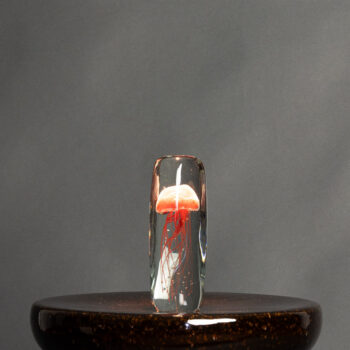 12212077 detail sfeer.jpg