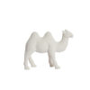 12212079 camel staand wit.jpg