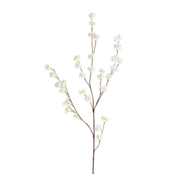 12212100 spiracea kunsttak wit.jpg