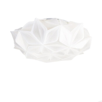 19000121 cestlavie middel wit.jpg