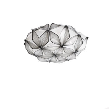 19000124 cestlavie klein zwart.jpg