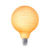 05200229 globe calex.jpg
