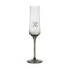 18150007 aura champagne.jpg