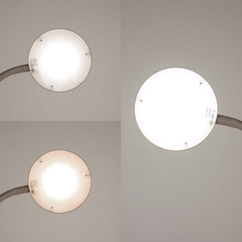 08452439 detail 3.jpg